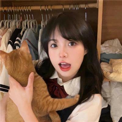 宝窗选婿