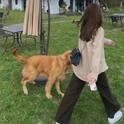 邪灵诱罪